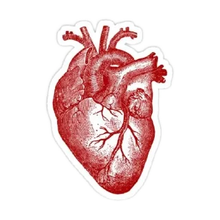 ❤ emoji Любофь Telegram sticker 7 of 37