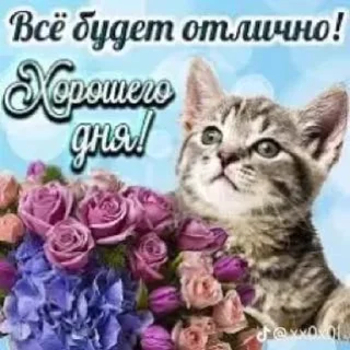 🌟 emoji милые открытки с кисами Telegram sticker 4 of 54