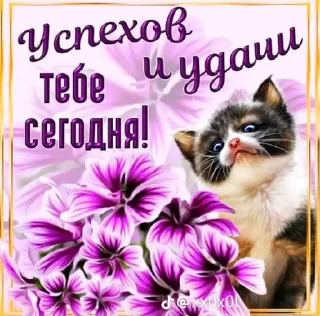 🌟 emoji милые открытки с кисами Telegram sticker 6 of 54