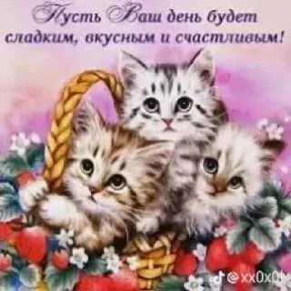 🌟 emoji милые открытки с кисами Telegram sticker 1 of 54