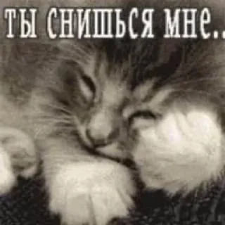 😔 emoji всясуть)) Telegram sticker 21 of 120