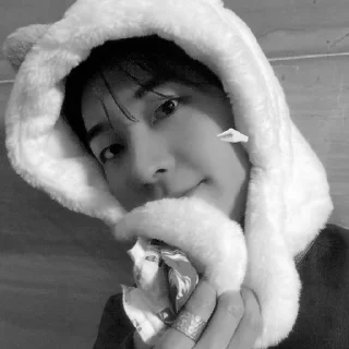 🐈‍⬛ emoji bw wonwoo @stckheavn Telegram sticker 15 of 15