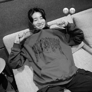 🐈‍⬛ emoji bw wonwoo @stckheavn Telegram sticker 8 of 15