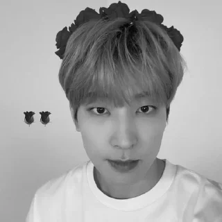 🐈‍⬛ emoji bw wonwoo @stckheavn Telegram sticker 11 of 15