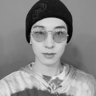 🐈‍⬛ emoji bw wonwoo @stckheavn Telegram sticker 10 of 15