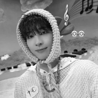 🐈‍⬛ emoji bw wonwoo @stckheavn Telegram sticker 9 of 15