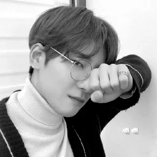 🐈‍⬛ emoji bw wonwoo @stckheavn Telegram sticker 5 of 15