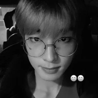 🐈‍⬛ emoji bw wonwoo @stckheavn Telegram sticker 12 of 15