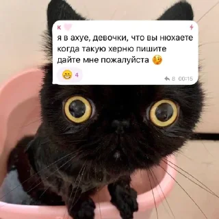 Sticker from косметикс