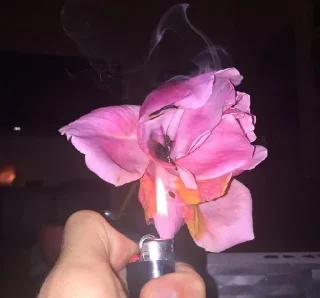 🥀 emoji сижки Telegram sticker 17 of 18