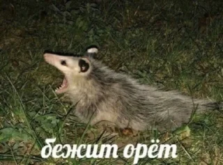Sticker from На случай вп