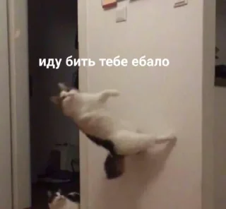 Sticker from На случай вп