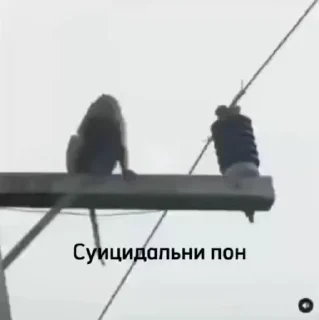 😒 emoji Разни пон Telegram sticker 13 of 50
