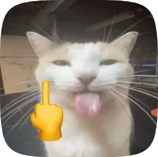 🌟 emoji 🐈‍⬛️𝙺𝚘𝚝𝚢𝚊𝚝𝚊 @satzwru Telegram sticker 10 of 30