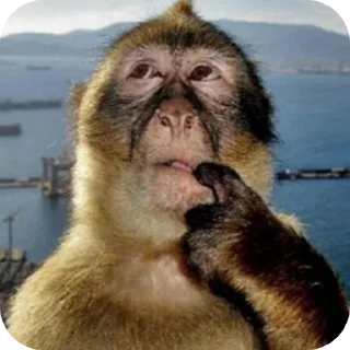 🤲 emoji биля Telegram sticker 23 of 65