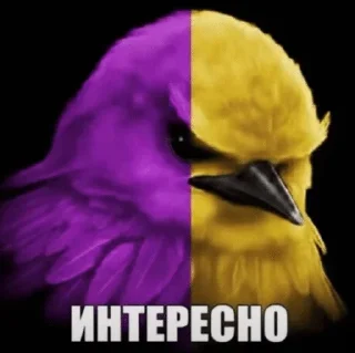 🧐 emoji 🐤 Telegram sticker 15 of 98