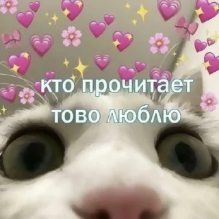 📦 emoji 𝗌𝗎𝗇'𝗌 𝗅𝗈𝗏𝖾 Telegram sticker 10 of 35