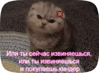 🌟 emoji мявввв Telegram sticker 18 of 18