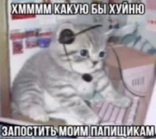 🌟 emoji наглые котики:@Crazy7_Mega7_Hell1984 Telegram sticker 21 of 76