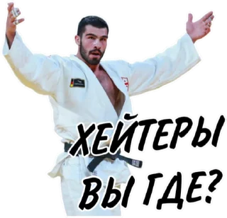 🤔 emoji Дзюдо Арт Telegram sticker 13 of 30