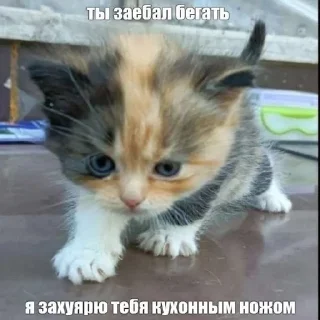 🌟 emoji стикеры от хуесоса Telegram sticker 3 of 29