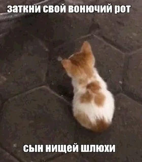🌟 emoji стикеры от хуесоса Telegram sticker 5 of 29