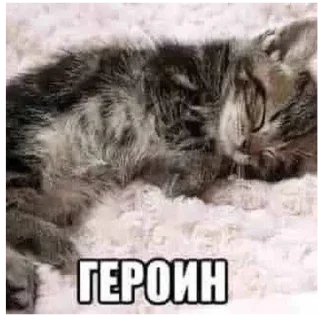 😍 emoji Тойа козинак Telegram sticker 22 of 92