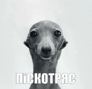 🫨 emoji крутое мыло для белья Telegram sticker 23 of 104