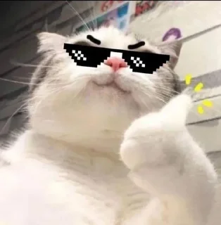 🌟 emoji кошки Telegram sticker 9 of 9