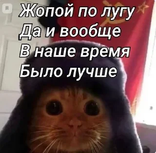 🌟 emoji Ответки 😒💅🏿 Telegram sticker 7 of 8