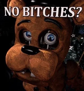 Sticker from NO BITCHES?(