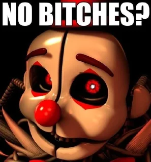 Sticker from NO BITCHES?(
