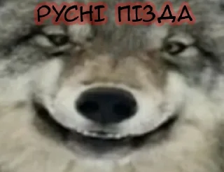 Sticker from Сильний не той хто москаль @memenace