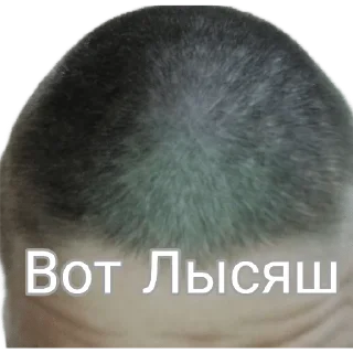 Sticker from Куньевская 🍅