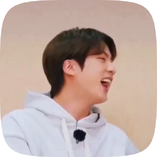 🛒 emoji Seokjin Telegram sticker 13 of 21