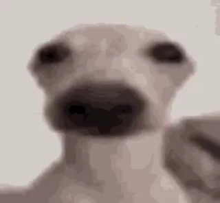 🐶 emoji Сбки Telegram sticker 4 of 50