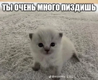 🌟 emoji эщкере Telegram sticker 9 of 54