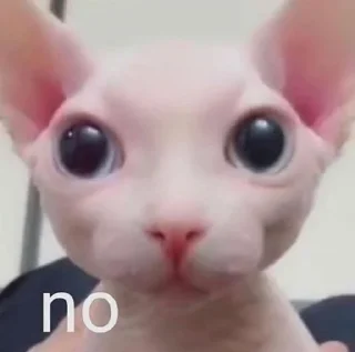 ❌️ emoji бингус и другие Telegram sticker 16 of 23