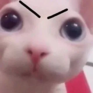 😡 emoji бингус и другие Telegram sticker 15 of 23