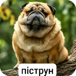 🗿 emoji Бигмаки Telegram sticker 5 of 9