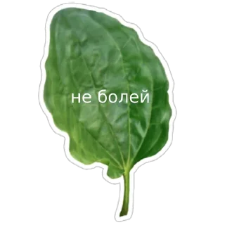 Sticker from heal