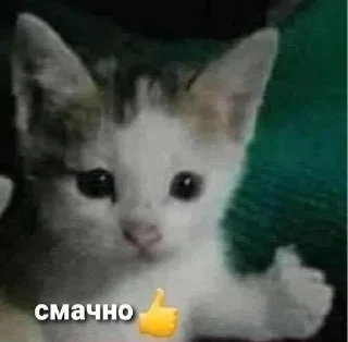 👍 emoji бывает Telegram sticker 9 of 120