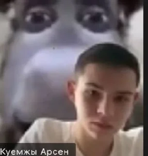 Sticker from пон