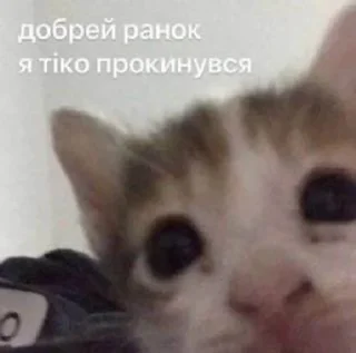 Sticker from ✨емейзінг✨