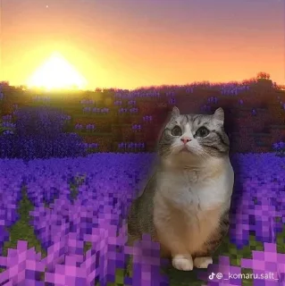 🤩 emoji @Earth928B <- больше стиков Telegram sticker 2 of 40