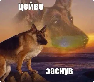 Sticker from цей во... @solovyy