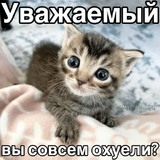 Sticker from Автор:new_ou1come