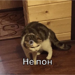 🫤 emoji Упоротые котики Telegram sticker 9 of 25