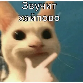 🧐 emoji Упоротые котики Telegram sticker 22 of 25