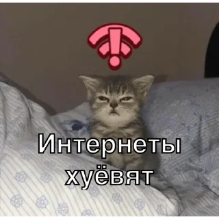 😒 emoji Упоротые котики Telegram sticker 16 of 25
